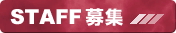 STAFF��W
